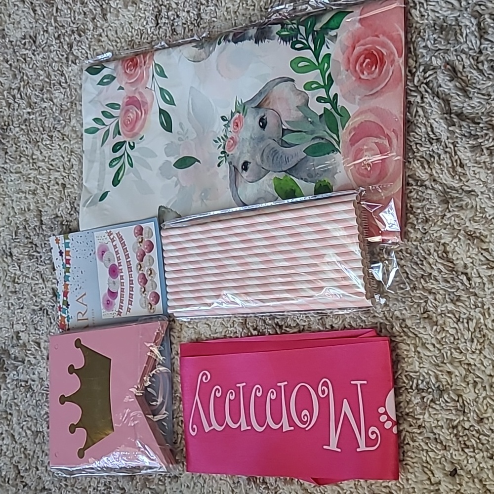 Baby Girl Shower / Reveal Decor
